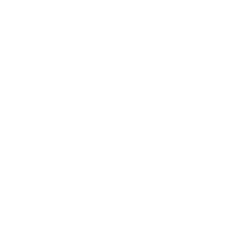 Lights Camera Vows logo